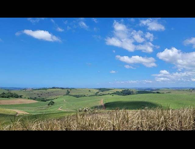 FARM FOR SALE IN BALLITO